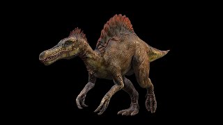 Spinosaurus  Spino DinosaurShortVer [upl. by Goulette]