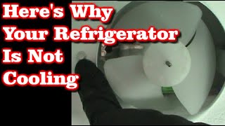 Refrigerator Not Cooling But Freezer Is Fine [upl. by Rego362]