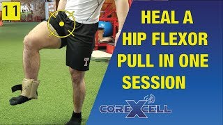 Fix a Hip Flexor Pull in One Session  The Miracle Exercise  Ep11 [upl. by Theresa]