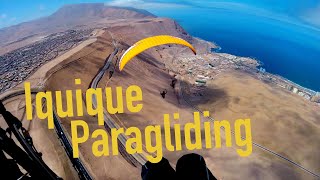 Iquique Paragliding [upl. by Zilla]