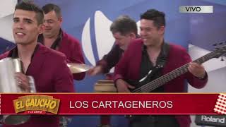 Los Cartageneros en vivo [upl. by Idyh]