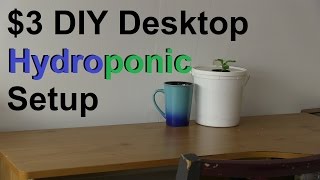 How to Make a Simple 3 DIY Desktop Hydroponic System [upl. by Dinny]