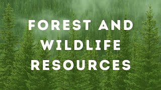 Quick Revision Forest and Wildlife Resources  Class 10  NCERT Based [upl. by Darell841]