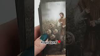 прогноз гаданиеонлайн таро tarot таролог гадание [upl. by Coy]