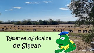 Réserve Africaine de Sigean [upl. by Oaks]