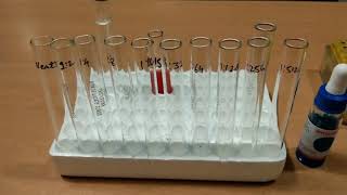 Titration of Antisera [upl. by Hahn]