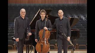 Beethoven quotGassenhauerquot Trio Chronos live Piano Gottlieb Wallisch Cello Simon Deffner [upl. by Elocim]