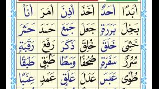 lesson 6 12 Practice words with fathadammakasraand tanween [upl. by Idhem]