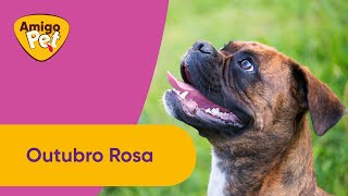 amigopet I Outubro Rosa [upl. by Errehs]