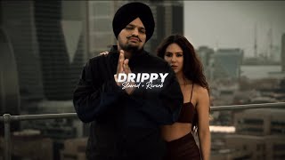 Drippy  Slowed  Reverb   Sidhu Moose Wala  Mxrci  AR Paisley [upl. by Seuqirdor]