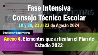 idM Fase Intensiva 2425 Anexo 4 Elementos que articulan el Plan de Estudio 2022 [upl. by Adanar496]