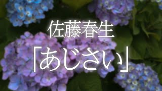 【青空文庫朗読】佐藤春夫「あじさい」 [upl. by Ariaic780]