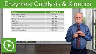 Enzymes Catalysis Kinetics amp Classification – Biochemistry  Lecturio [upl. by Ahsieket]