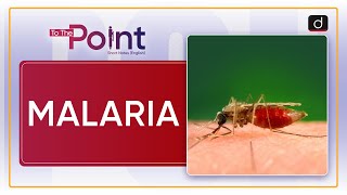 Malaria  To The Point  Drishti IAS English [upl. by Eanar358]