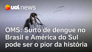 Surto de dengue no Brasil e América do Sul pode ser o pior da história diz OMS [upl. by Hanonew]