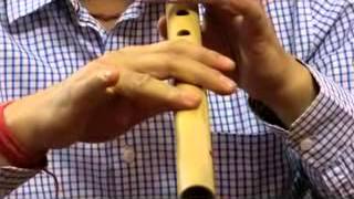 How to grip Bansuri Bamboo flute Beginner Learner [upl. by Nallad243]