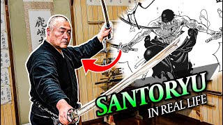 Asked a Katana Master to Do SANTORYU And THIS is What Happened [upl. by Irtimed]