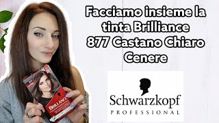 Facciamo insieme la TINTA PALETTE schwarzkopfpro 877 CASTANO CHIARO CENERE newlookconpalette [upl. by Nannerb370]