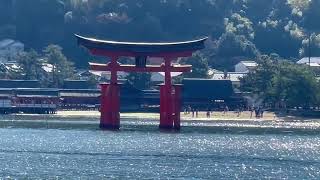 Japan Trip Miyajima [upl. by Harihat]