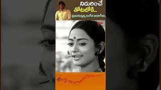 Kokkorokko Song  కొక్కొరొక్కో ChandraMohan Seeta Mahalakshmi Movie melody shorts youtubeshorts [upl. by Yarrum]