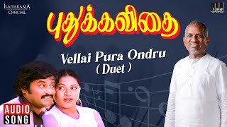 Vellai Pura Ondru  Duet  Puthukavithai Movie  Ilaiyaraaja  Rajinikanth  K J Yesudas  S Janaki [upl. by Nolad]