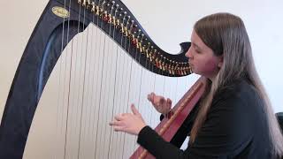 Drake  Passionfruit Harp Cover by Arianna Worthen [upl. by Leesa]