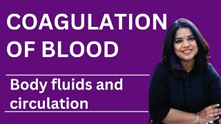 Understanding Blood Coagulation Key Concepts from NCERT Class 11 Biology [upl. by Rotciv]