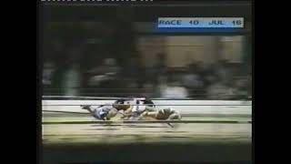 1993 CHAMPION STAKES FINAL  WESTMEAD SURPRISE [upl. by Hymen]