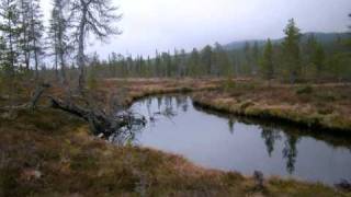 Gammal fäbodpsalm från Dalarna Old Pastoral Hymn from Dalarna [upl. by Carri453]