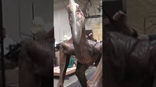 Pteranodon test at Stan Winston Studio for Jurassic Park III [upl. by Nadeau]