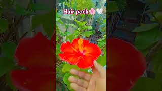 Hair pack for freeze hair 🌸🤍yoitubeshorts viralvideo viralshorts gardens remedies [upl. by Notyalc]