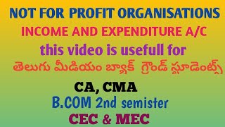 NOT FOR PROFIT ORGANISATIONS  INCOME and EXPENDITURE ACTS public exam 2024 [upl. by Nonad797]