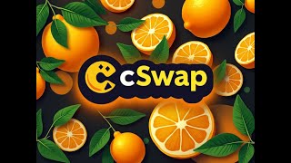 CSwap  ETH India 2024 Demo [upl. by Namso]