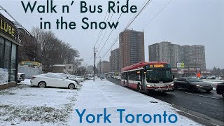 Snowy Walk Turns Into a TTC Bus Ride n Chat With Driver in Toronto 1242024 [upl. by Dnesnwot3]