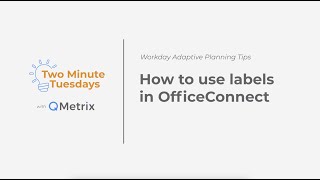 How to use labels in OfficeConnect  Workday Adaptive Planning [upl. by Bryce587]