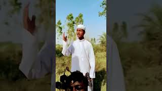 Afforestation chalkar dekhte hain [upl. by Alrep25]