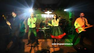 AVENUESHOOP SONG ARETHA FRANKLIN COVERLive in Tribute clubBucharest [upl. by Couture62]