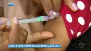 Novo vírus da gripe circula pelo Brasil [upl. by Acired]