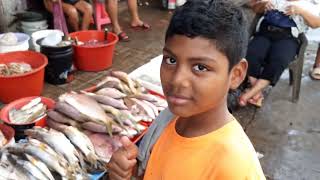 Fishmarket in Bluefields Nicaragua 27 Dec 2023 [upl. by Theobald]