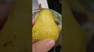 How to CHOOSE the perfect Bartlett Pear shorts fyp pear pea [upl. by Annayar]