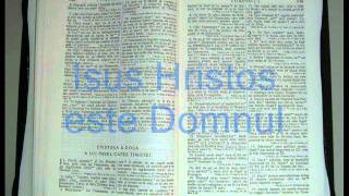 16  2  TIMOTEI  Noul Testament  Biblia Audio Romana [upl. by Letnahs]