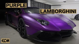 😈 PURPLE LAMBORGHINI 😈 [upl. by Hinda]