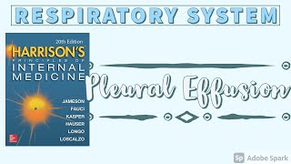 PLEURAL EFFUSION  Causes  Approach  Diagnostic Algorithm  Harrison [upl. by Pollyanna]