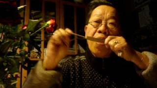 TRAN QUANG HAI plays the metal Jews harp with string [upl. by Cannell917]