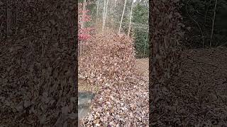 Ferris FB 3000 Stand On Leaf Blower POV [upl. by Fortune26]