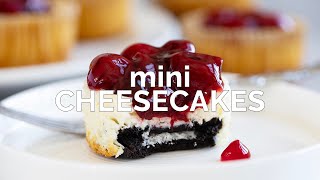 Mini Cheesecakes [upl. by Choong26]