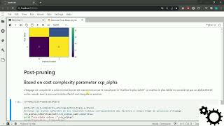 Arbres de décision  ccpalphapostélagage postpruning sur Python [upl. by Ynnaj]