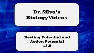 Resting Potential and Action Potential – 125 – Biol 189 [upl. by Eenrahc]