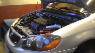 2ZZGE All Motor Corolla XRS quotEl Cenizoquot Stock Block 214hp dyno pull [upl. by Jenette709]