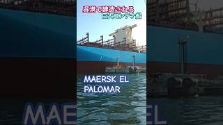 呉港で建造される巨大コンテナ船『MAERSK EL PALOMAR』 [upl. by Nerag153]